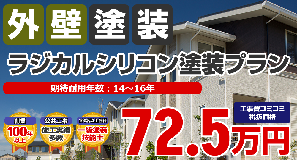 ラジカルシリコン塗装プラン 税込79.8万円